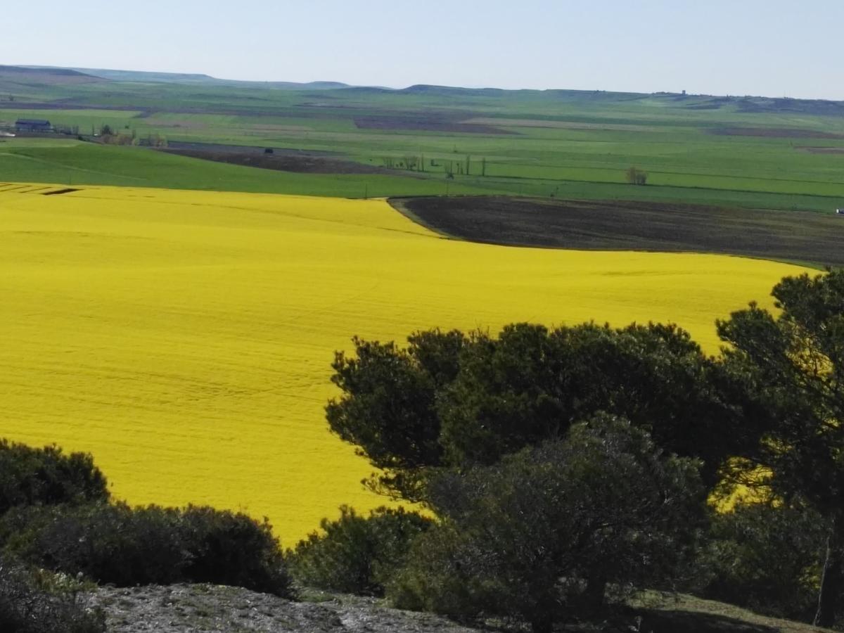 La Aldea Colorada Casa Rural Mota del Marques Bagian luar foto